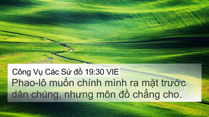 Công Vụ Các Sứ đồ 19:30 VIE 4K Wallpaper - Phao-lô muốn chính mình ra mặt trước - 4K Wallpaper Bible Verse
