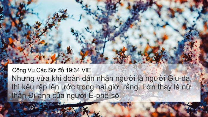 Công Vụ Các Sứ đồ 19:34 VIE Bible Verse Image