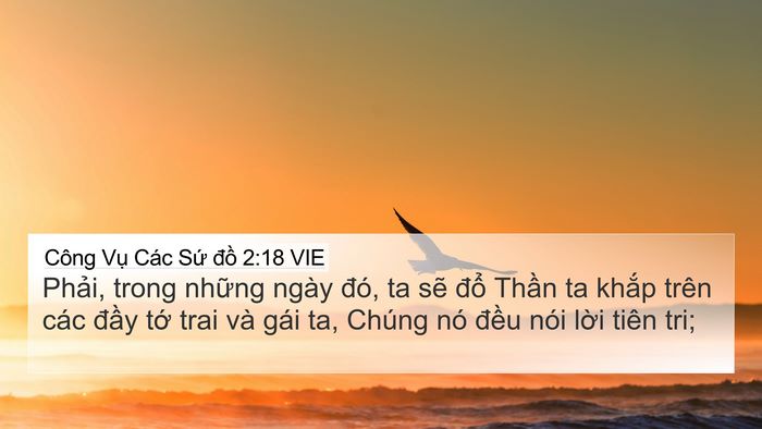 Công Vụ Các Sứ đồ 2:18 VIE Bible Verse Image