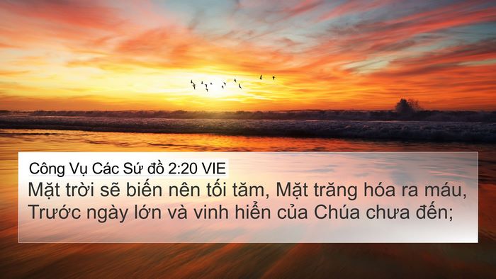 Công Vụ Các Sứ đồ 2:20 VIE Bible Verse Image