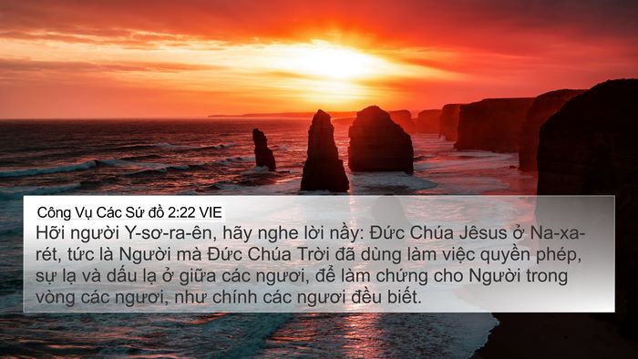 Công Vụ Các Sứ đồ 2:22 VIE Bible Verse Image