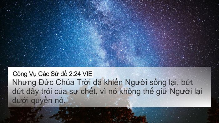 Công Vụ Các Sứ đồ 2:24 VIE Bible Verse Image