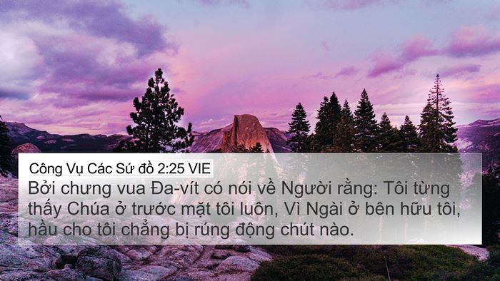 Công Vụ Các Sứ đồ 2:25 VIE Bible Verse Image