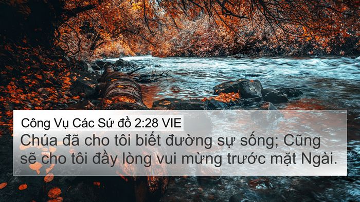 Công Vụ Các Sứ đồ 2:28 VIE Bible Verse Image