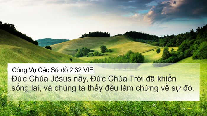 Công Vụ Các Sứ đồ 2:32 VIE Bible Verse Image