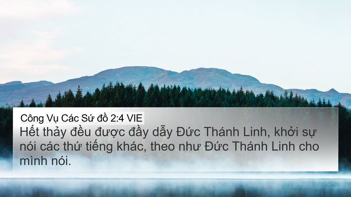 Công Vụ Các Sứ đồ 2:4 VIE Bible Verse Image