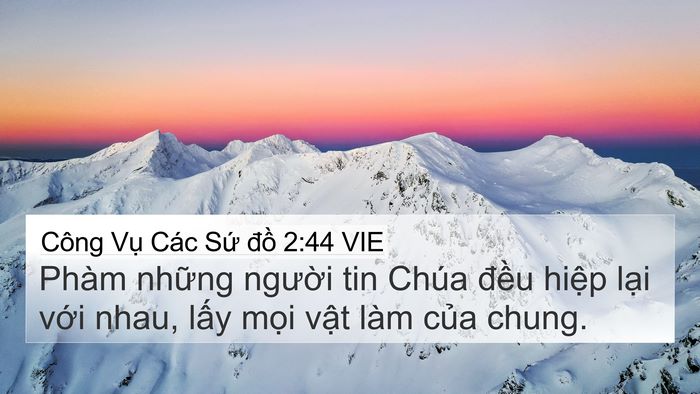 Công Vụ Các Sứ đồ 2:44 VIE Bible Verse Image
