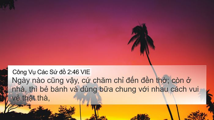 Công Vụ Các Sứ đồ 2:46 VIE Bible Verse Image