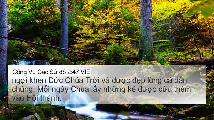 Công Vụ Các Sứ đồ 2:47 VIE Bible Verse Image