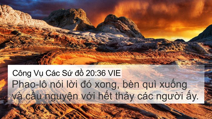 Công Vụ Các Sứ đồ 20:36 VIE Bible Verse Image