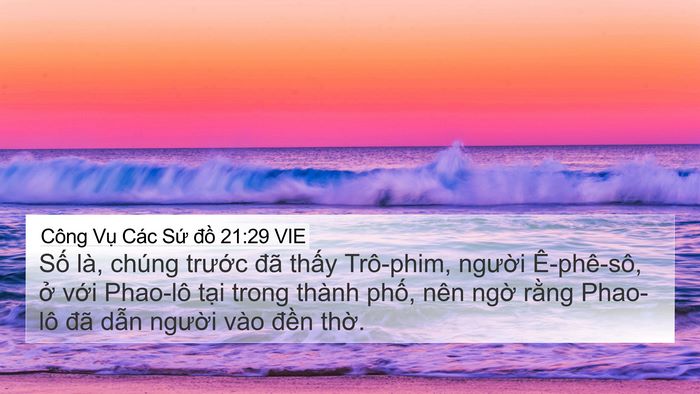 Công Vụ Các Sứ đồ 21:29 VIE Bible Verse Image