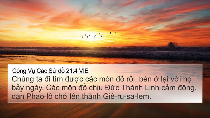 Công Vụ Các Sứ đồ 21:4 VIE 4K Wallpaper - Chúng ta đi tìm được các môn đồ - 4K Wallpaper Bible Verse