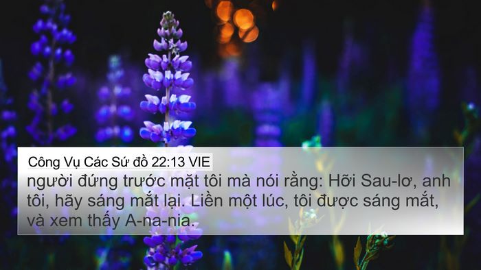Công Vụ Các Sứ đồ 22:13 VIE Bible Verse Image
