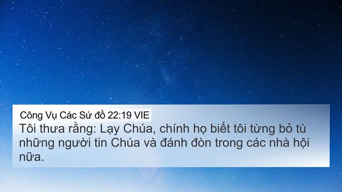 Công Vụ Các Sứ đồ 22:19 VIE Bible Verse Image