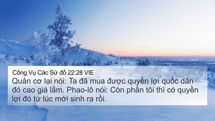 Công Vụ Các Sứ đồ 22:28 VIE 4K Wallpaper - Quản cơ lại nói: Ta đã mua được - 4K Wallpaper Bible Verse