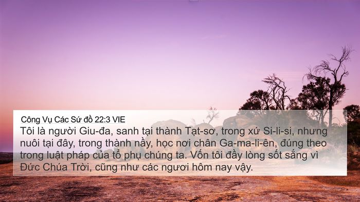 Công Vụ Các Sứ đồ 22:3 VIE Bible Verse Image