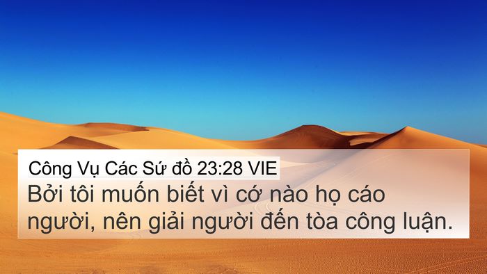 Công Vụ Các Sứ đồ 23:28 VIE Bible Verse Image