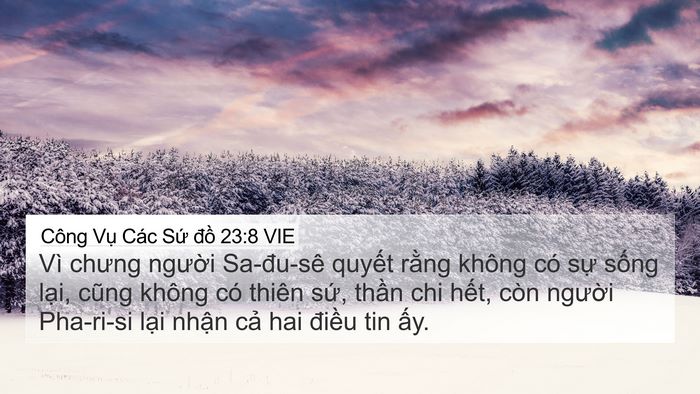 Công Vụ Các Sứ đồ 23:8 VIE Bible Verse Image