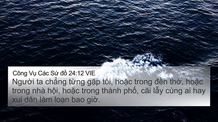Công Vụ Các Sứ đồ 24:12 VIE Bible Verse Image