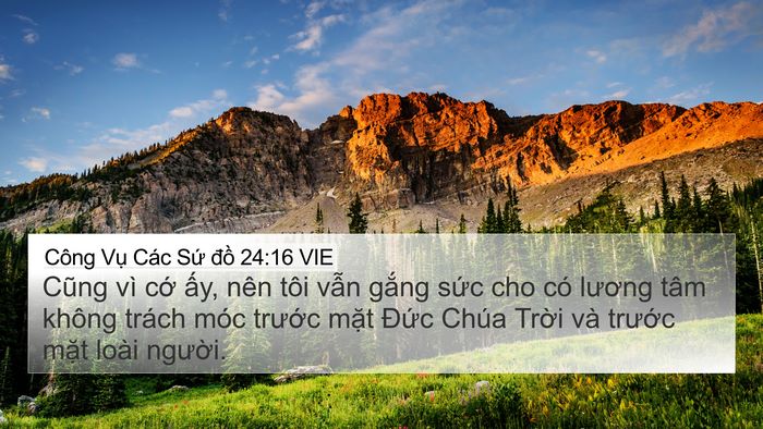 Công Vụ Các Sứ đồ 24:16 VIE Bible Verse Image