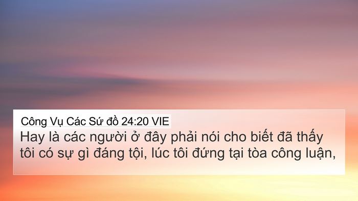 Công Vụ Các Sứ đồ 24:20 VIE Bible Verse Image