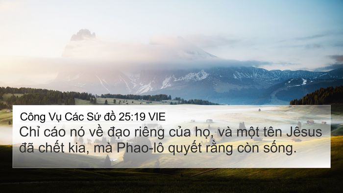 Công Vụ Các Sứ đồ 25:19 VIE Bible Verse Image