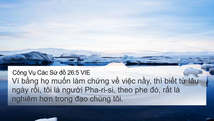 Công Vụ Các Sứ đồ 26:5 VIE Bible Verse Image