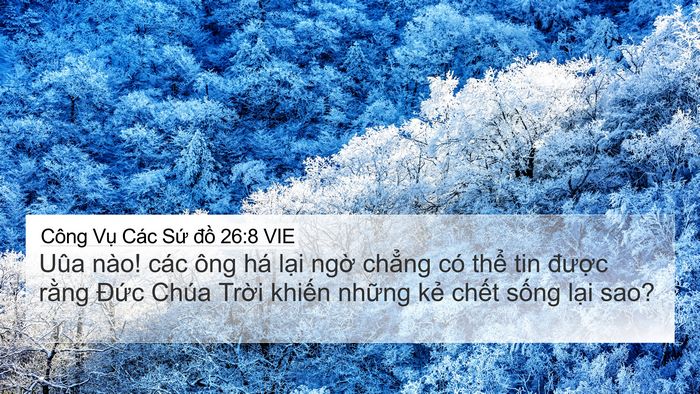 Công Vụ Các Sứ đồ 26:8 VIE Bible Verse Image