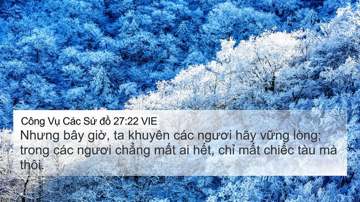 Công Vụ Các Sứ đồ 27:22 VIE Bible Verse Image
