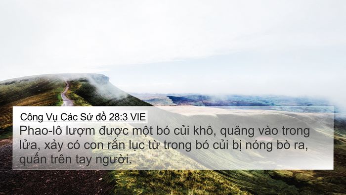 Công Vụ Các Sứ đồ 28:3 VIE Bible Verse Image