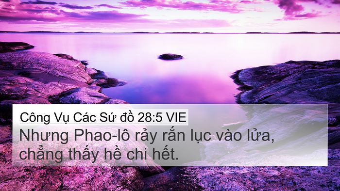 Công Vụ Các Sứ đồ 28:5 VIE Bible Verse Image