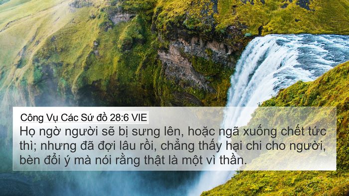 Công Vụ Các Sứ đồ 28:6 VIE Bible Verse Image
