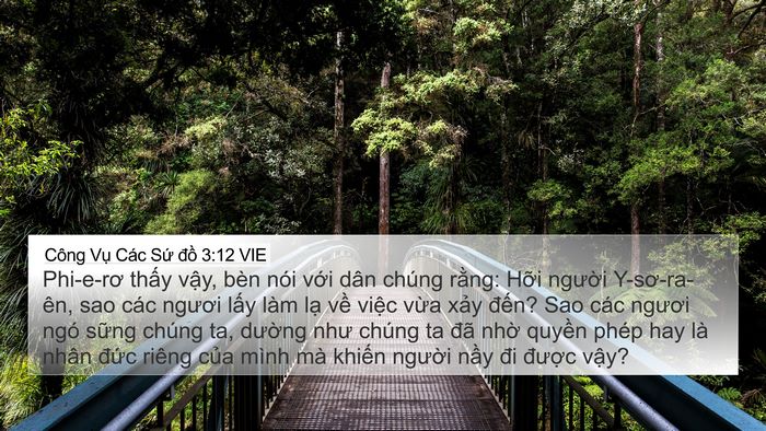 Công Vụ Các Sứ đồ 3:12 VIE Bible Verse Image