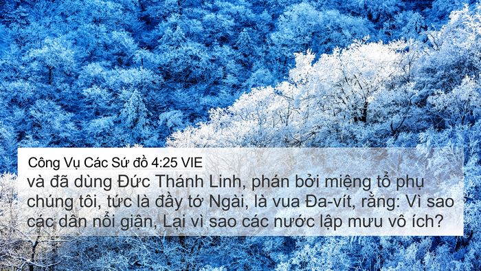 Công Vụ Các Sứ đồ 4:25 VIE Bible Verse Image