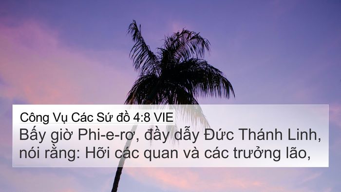 Công Vụ Các Sứ đồ 4:8 VIE Bible Verse Image
