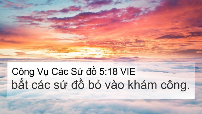 Công Vụ Các Sứ đồ 5:18 VIE Bible Verse Image