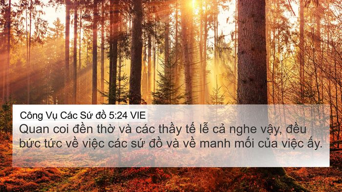 Công Vụ Các Sứ đồ 5:24 VIE Bible Verse Image