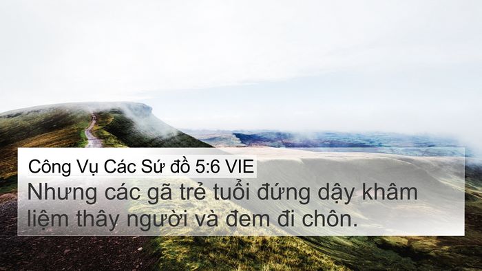 Công Vụ Các Sứ đồ 5:6 VIE Bible Verse Image