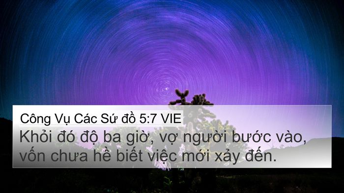 Công Vụ Các Sứ đồ 5:7 VIE 4K Wallpaper - Khỏi đó độ ba giờ, vợ người bước - 4K Wallpaper Bible Verse