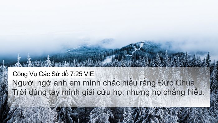 Công Vụ Các Sứ đồ 7:25 VIE Bible Verse Image
