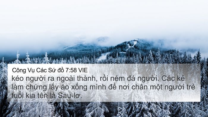 Công Vụ Các Sứ đồ 7:58 VIE Bible Verse Image