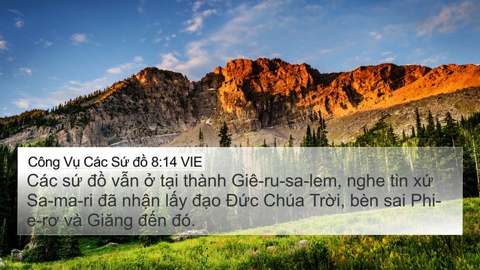 Công Vụ Các Sứ đồ 8:14 VIE Bible Verse Image