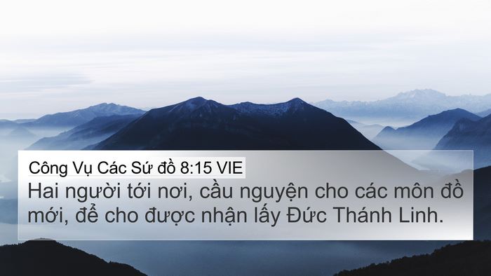 Công Vụ Các Sứ đồ 8:15 VIE Bible Verse Image