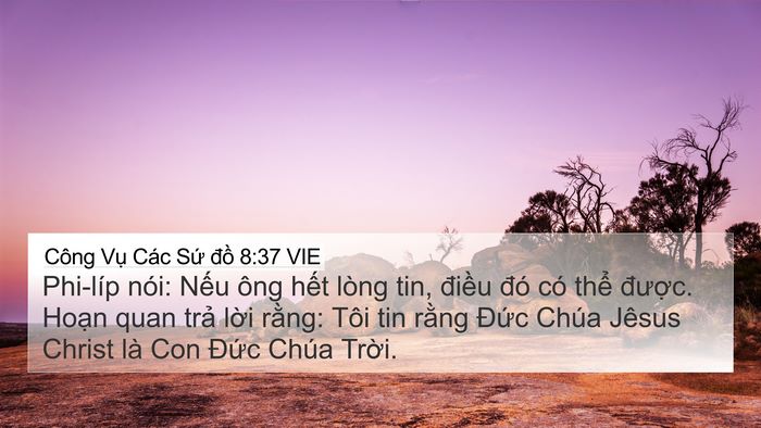Công Vụ Các Sứ đồ 8:37 VIE 4K Wallpaper - Phi-líp nói: Nếu ông hết lòng tin, - 4K Wallpaper Bible Verse