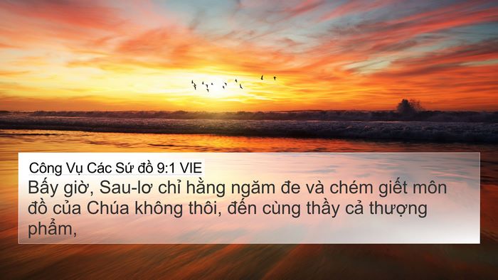 Công Vụ Các Sứ đồ 9:1 VIE Bible Verse Image