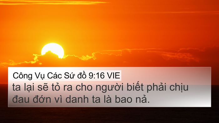 Công Vụ Các Sứ đồ 9:16 VIE Bible Verse Image