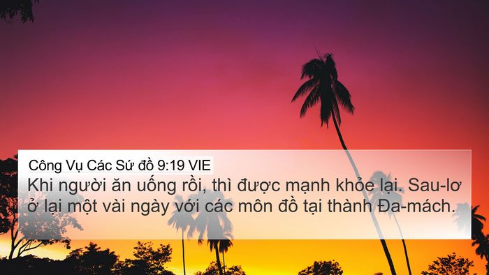 Công Vụ Các Sứ đồ 9:19 VIE Bible Verse Image