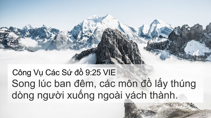 Công Vụ Các Sứ đồ 9:25 VIE Bible Verse Image