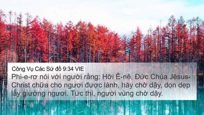 Công Vụ Các Sứ đồ 9:34 VIE Bible Verse Image