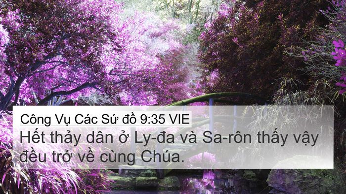 Công Vụ Các Sứ đồ 9:35 VIE Bible Verse Image